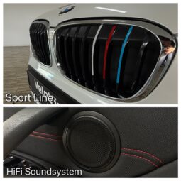 
										BMW X1 xDrive 20i Sport/Shadow/Kamera/AHK/LED/1.Hand full									