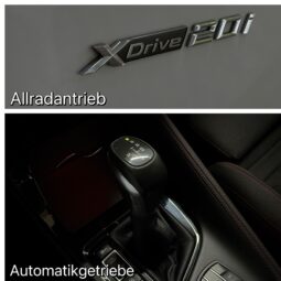 
										BMW X1 xDrive 20i Sport/Shadow/Kamera/AHK/LED/1.Hand full									