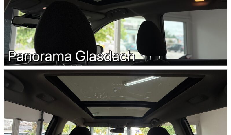 
								Nissan X-Trail Acenta/Pano/360Kamera/Navi/DAB full									
